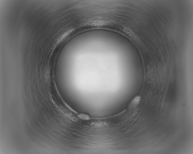 X0000052610440200507081850