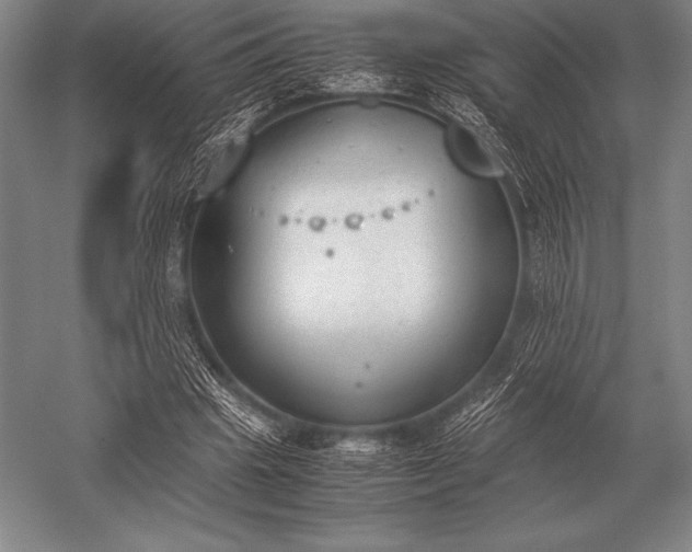 X0000052610441200507081850