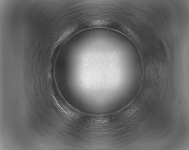 X0000052610443200507081850