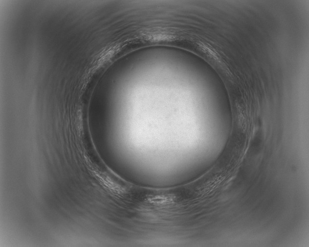 X0000052610447200507081851