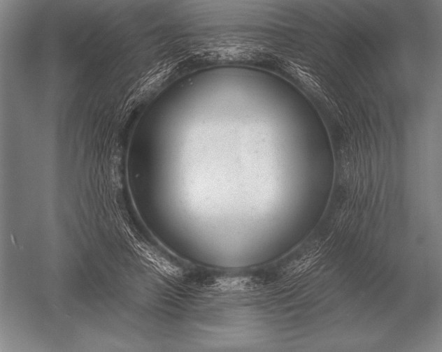 X0000052610450200507081851