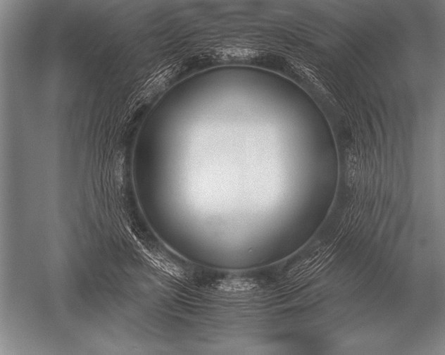 X0000052610451200507081851