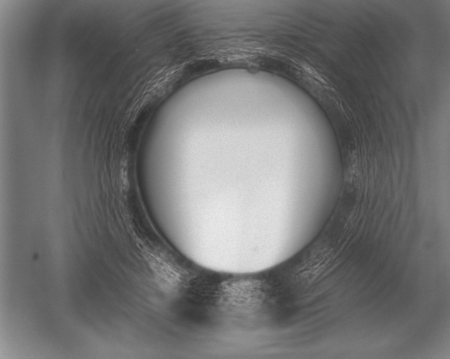 X0000052610452200507081851