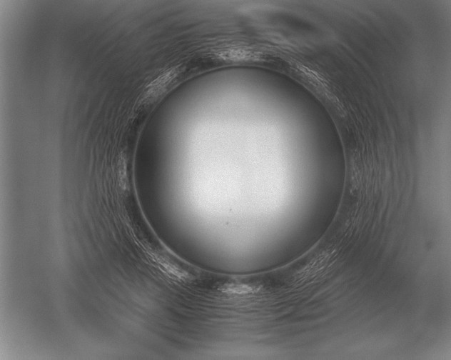 X0000052610453200507081851