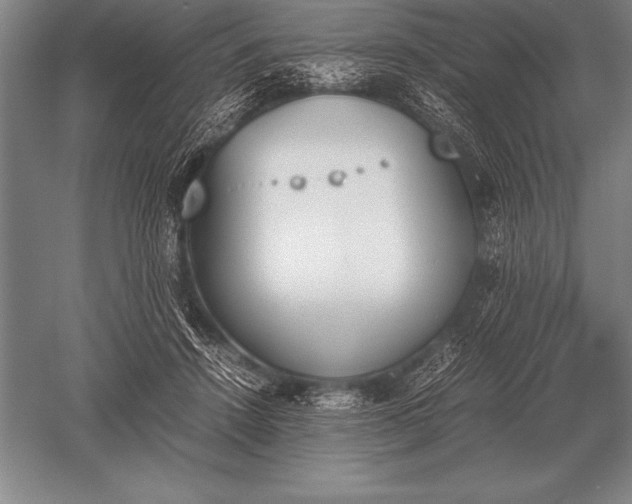 X0000052610456200507081851