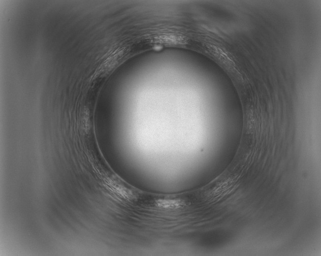 X0000052610457200507081851