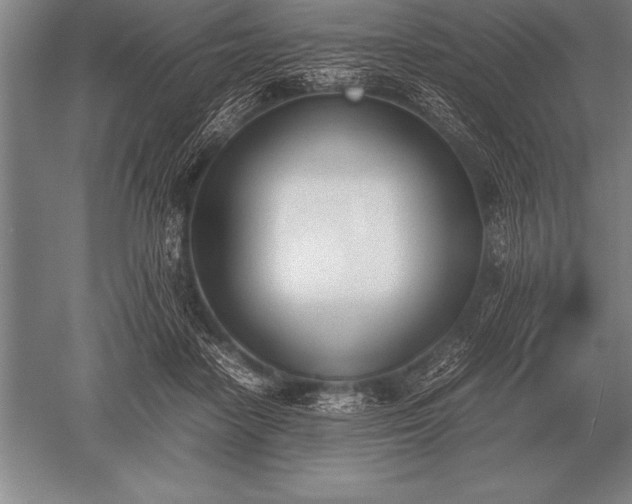 X0000052610458200507081851