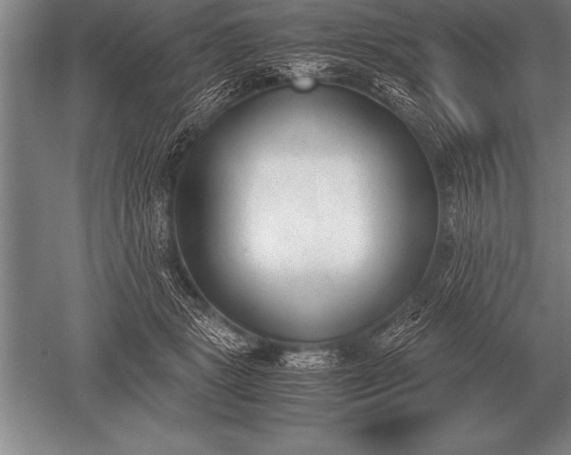 X0000052610461200507081851