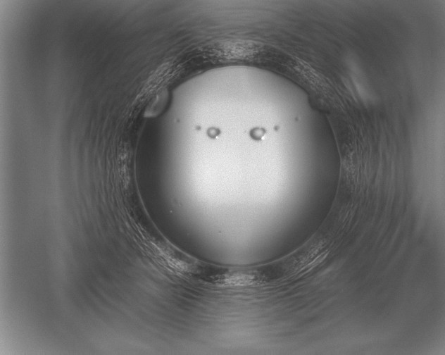 X0000052610462200507081851