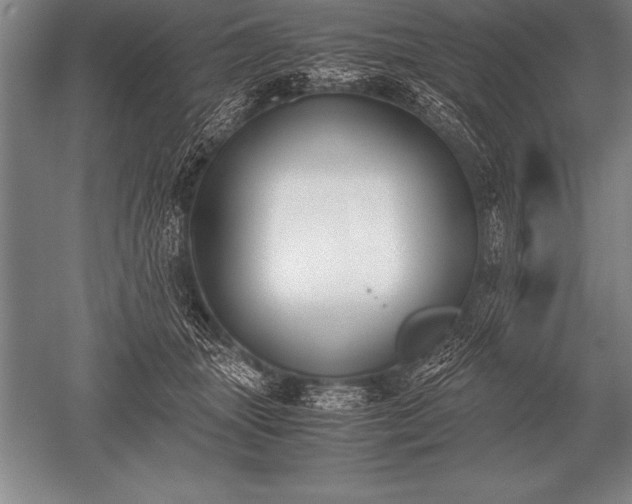 X0000052610463200507081851