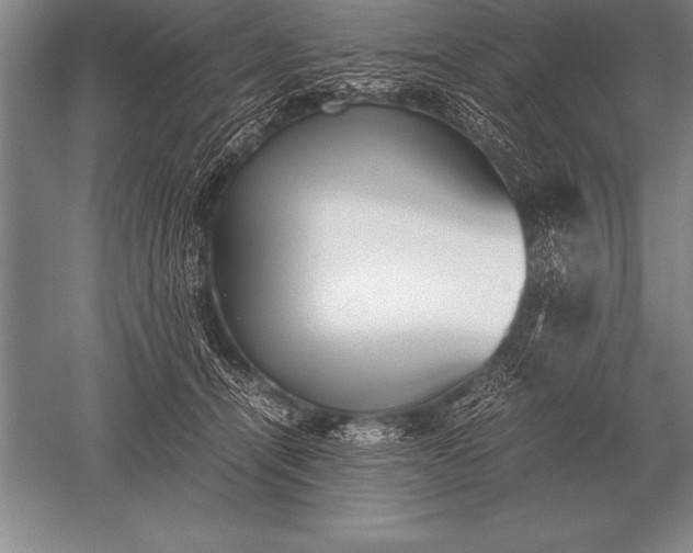 X0000052610464200507081851