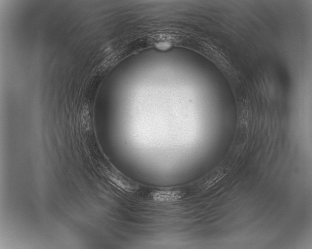 X0000052610465200507081851