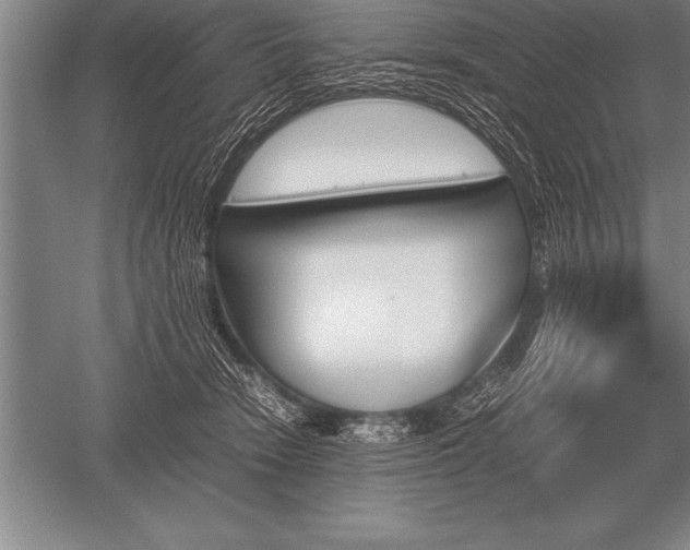 X0000052610466200507081851