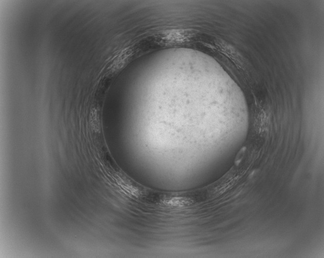 X0000052610467200507081851