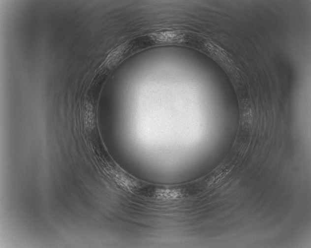 X0000052610469200507081851