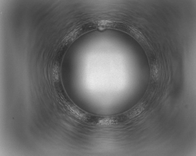 X0000052610470200507081851