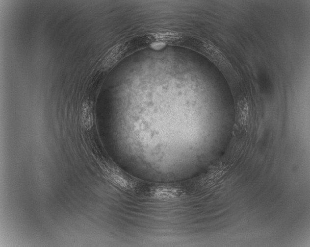 X0000052610471200507081851