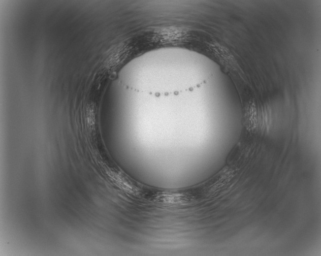 X0000052610472200507081851