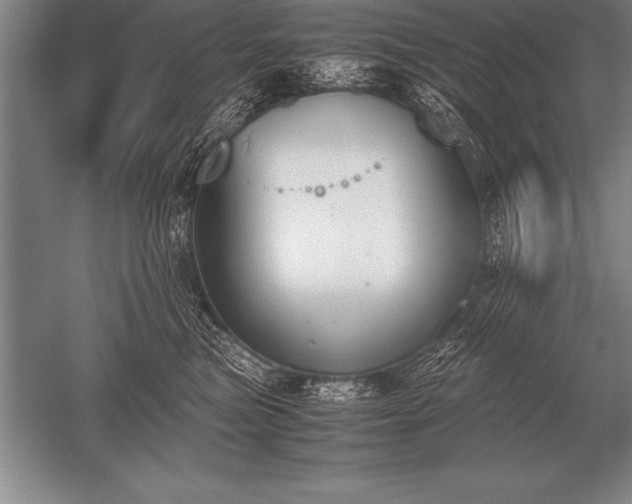 X0000052610473200507081851