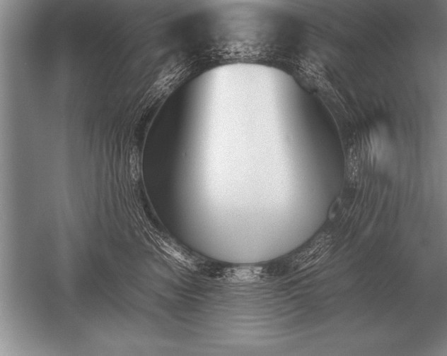 X0000052610474200507081851