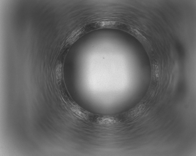 X0000052610475200507081851