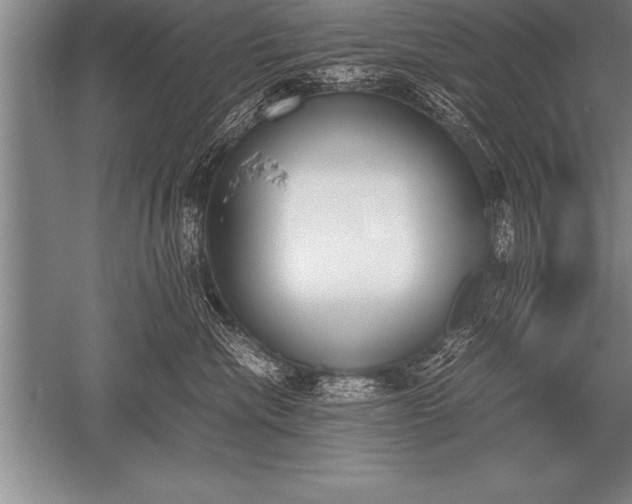 X0000052610476200507081851