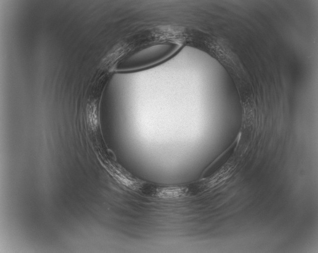 X0000052610479200507081851