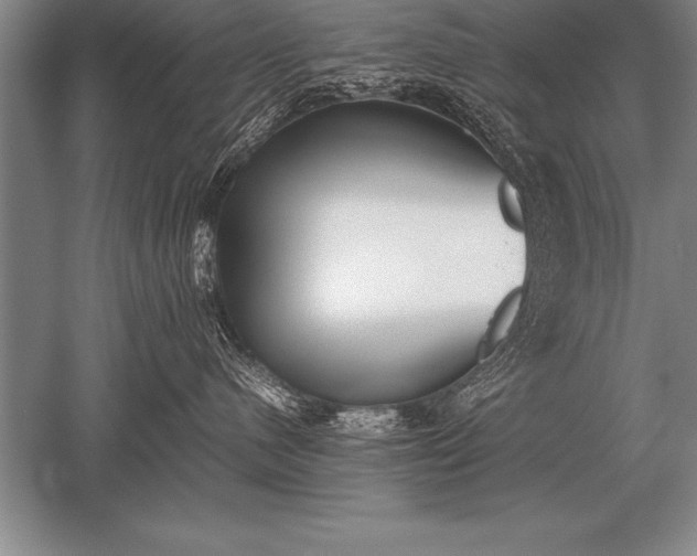 X0000052610480200507081851