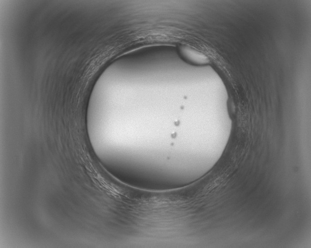 X0000052610481200507081850