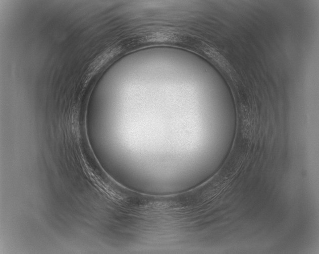 X0000052610482200507081850