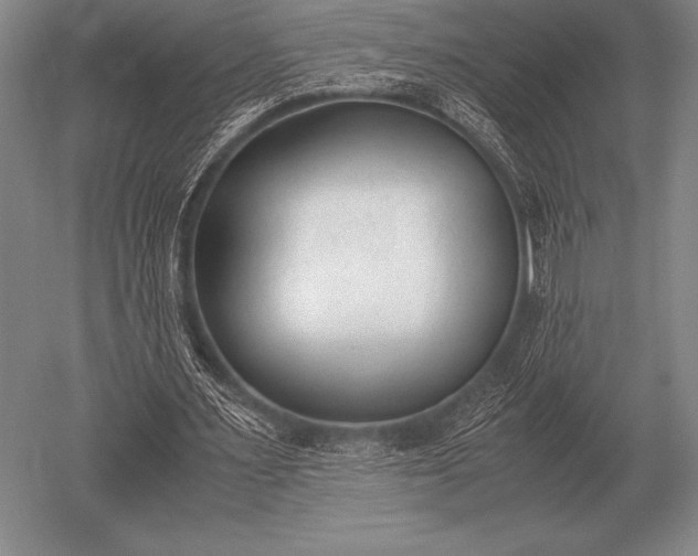 X0000052610483200507081850