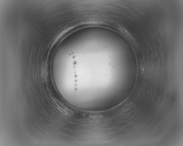 X0000052610484200507081850