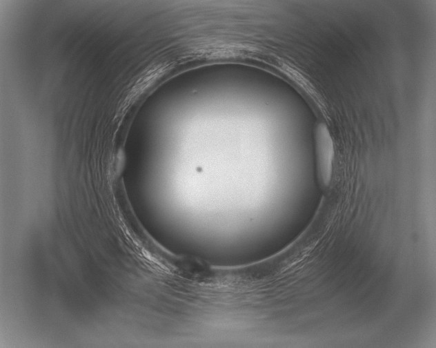 X0000052610485200507081850