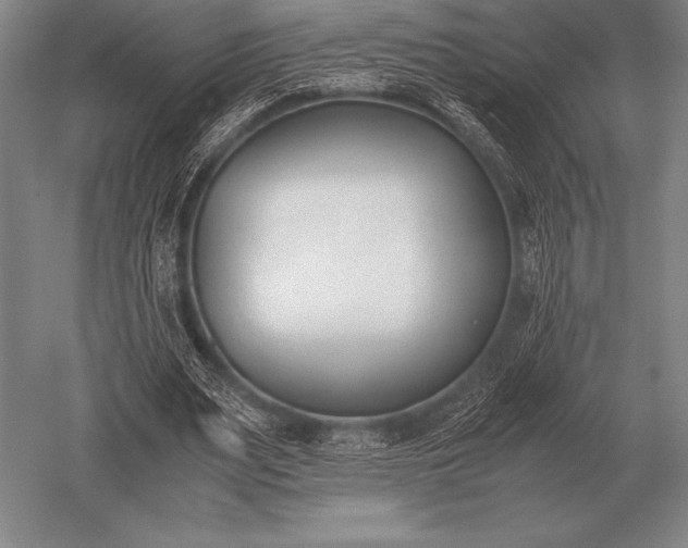 X0000052610487200507081850