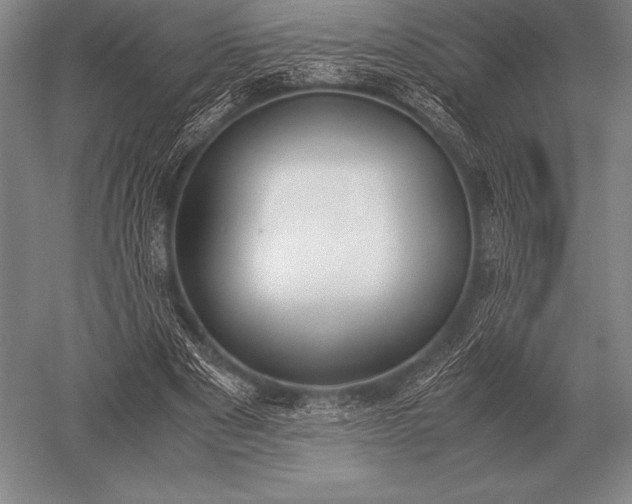 X0000052610489200507081850