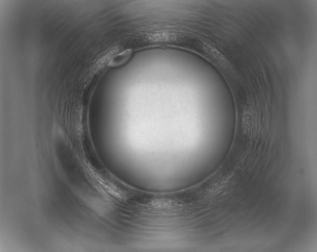 X0000052610490200507081850