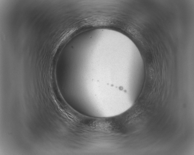 X0000052610491200507081850