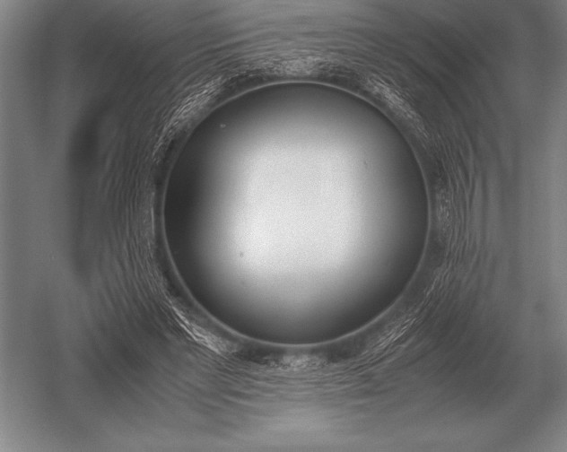 X0000052610493200507081850