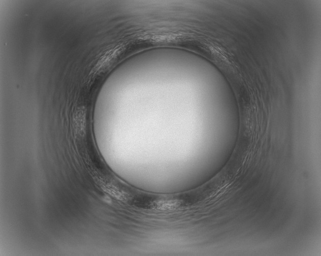 X0000052610495200507081850