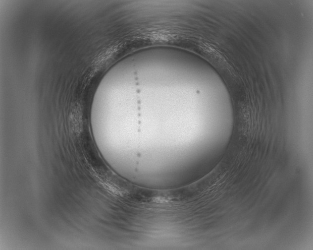 X0000052610496200507081850