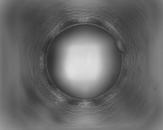 X0000052610497200507081850