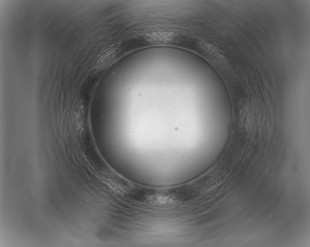 X0000052610498200507081850