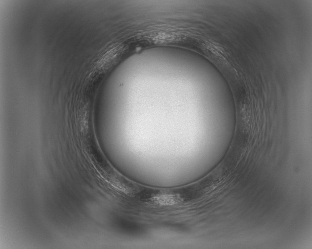 X0000052610499200507081850