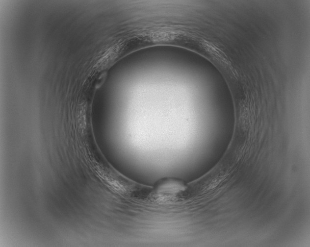 X0000052610501200507081850