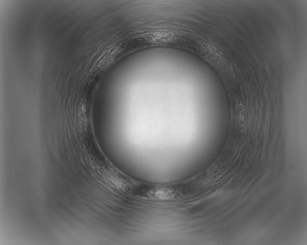 X0000052610506200507081850