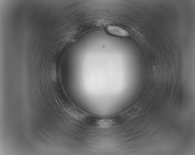 X0000052610508200507081850