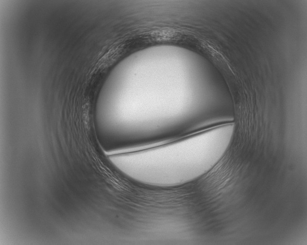 X0000052610509200507081850