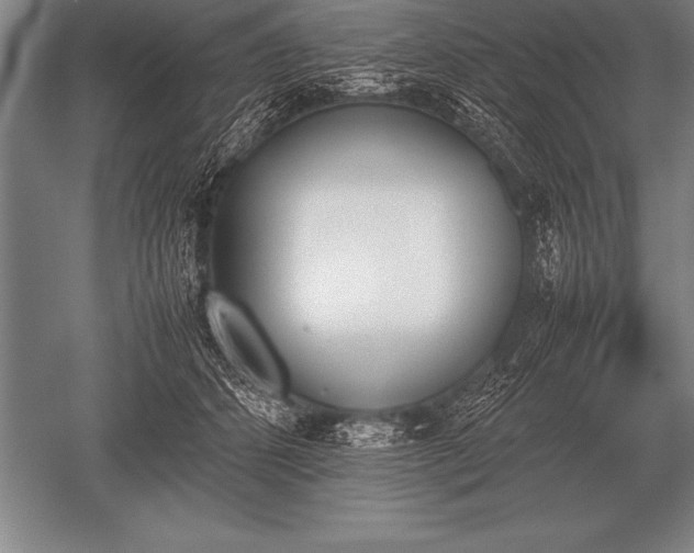 X0000052610512200507081850