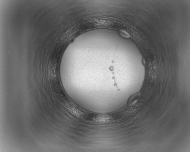 X0000052610514200507081850