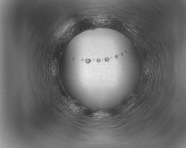 X0000052610515200507081850